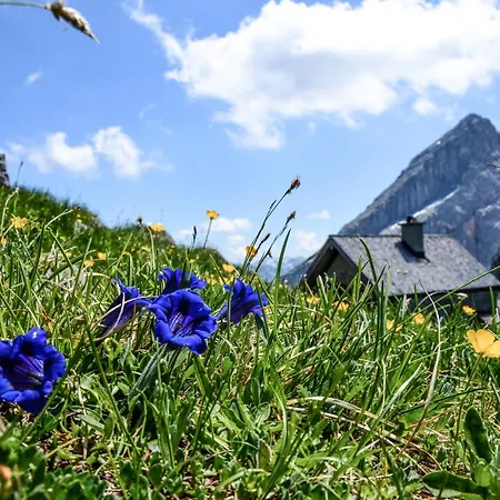 Fagstein * Schönau am Königssee